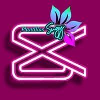 TikTok Account - sugycastillo