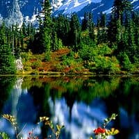 TikTok Account - dailyaffirmation9