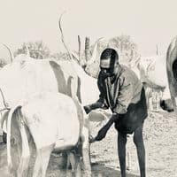 TikTok Account - jekamarek11