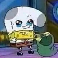 TikTok Account - birkinfeelings