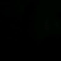 TikTok Account - rrefssx