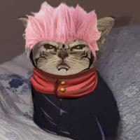 TikTok Account - sam82224