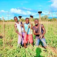 TikTok Account - deblack3one