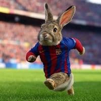 TikTok Account - bigotes198