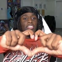 TikTok Account - vidlab044