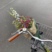 TikTok Account - diaryofsouuul