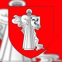 TikTok Account - newszhodino