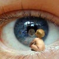 TikTok Account - petarpan7575