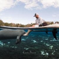 TikTok Account - adam.mccahill