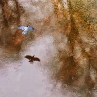 TikTok Account - v.e.s.na