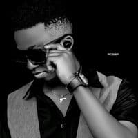 TikTok Account - princereagan7