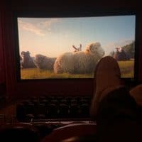 TikTok Account - gen..esis