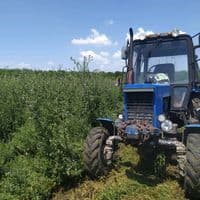 TikTok Account - danu_radu22