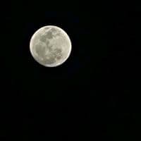 TikTok Account - ben.isse