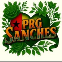 TikTok Account - prg.sanches