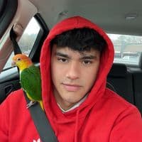 TikTok Account - helmer_go