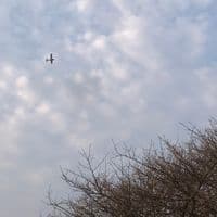 TikTok Account - aann_19m