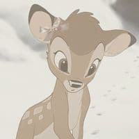 TikTok Account - spam_acc_482