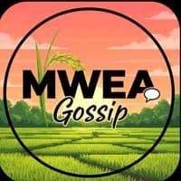 TikTok Account - mweagossip254