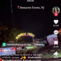 TikTok Account - omjwz88977