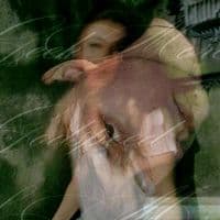 TikTok Account - synjxoxo