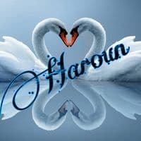 TikTok Account - harounmahmoudi7