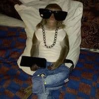 TikTok Account - funny_moods.xr