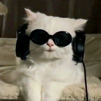 TikTok Account - zabeehktk54