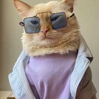 TikTok Account - hannaeleo