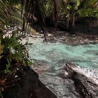 TikTok Account - greendecember