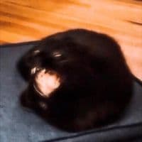 TikTok Account - noname.brand