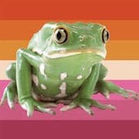 TikTok Account - lxvdisc