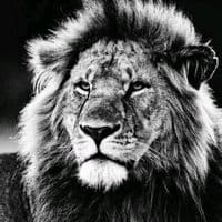 TikTok Account - sadvideo007tikt1