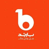 TikTok Account - barbudmusic