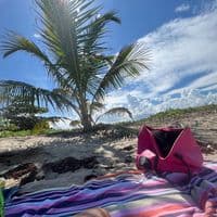 TikTok Account - ___kekii