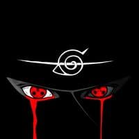 TikTok Account - richi63778