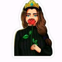 TikTok Account - naksu_302