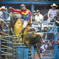 TikTok Account - user18castello