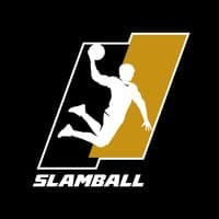 TikTok Account - slamballleague