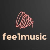 TikTok Account - fee1music
