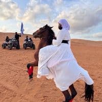 TikTok Account - hippophile7atmah