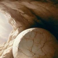 TikTok Account - memphis__x