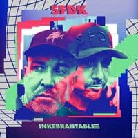 TikTok Account - sfdkoficial