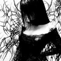 TikTok Account - nsvert