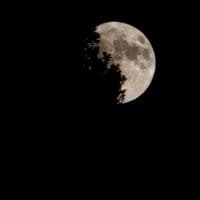 TikTok Account - soulinpoemz