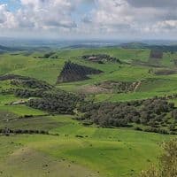 TikTok Account - jamalbenider