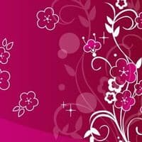 TikTok Account - rosiee_petalz