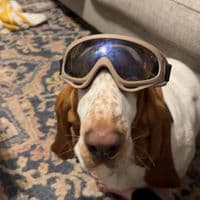 TikTok Account - yoboynrtz2