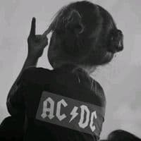 TikTok Account - hull_bibex09