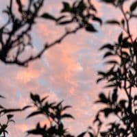 TikTok Account - myraveth